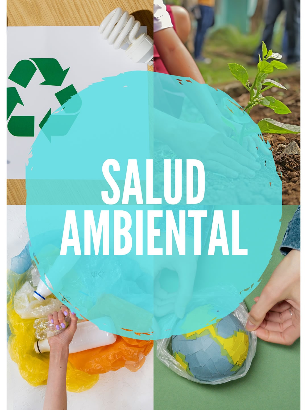 Salud Ambiental