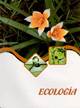 ECOLOGIA