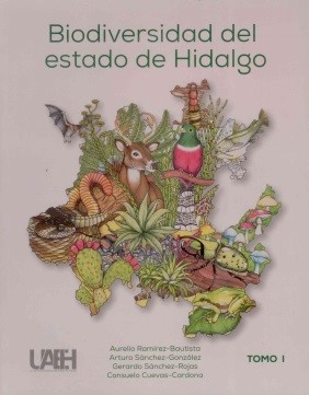 EditorialMente