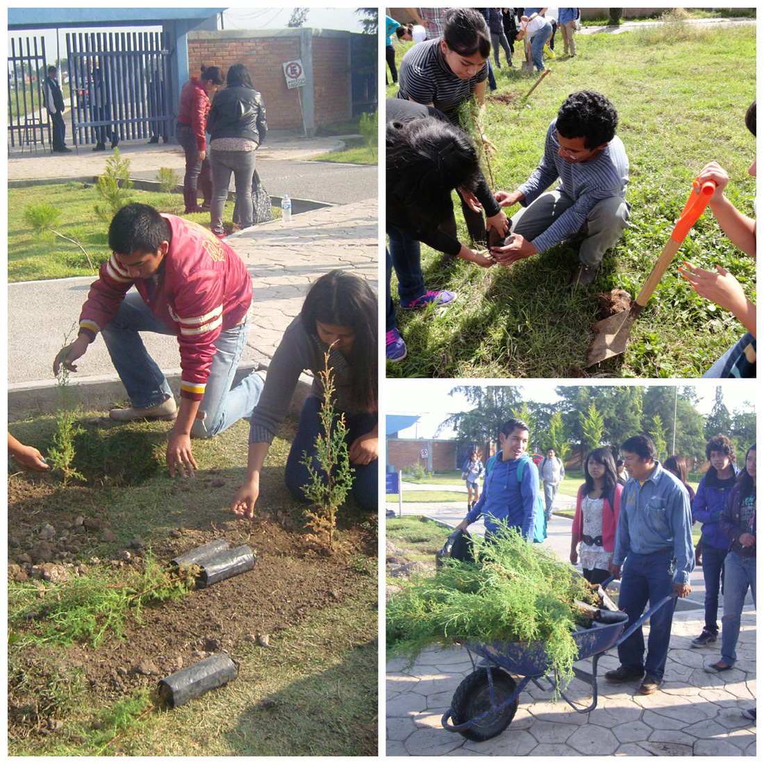 Servicio Social Voluntario