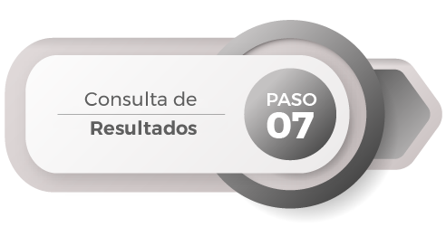 Paso7