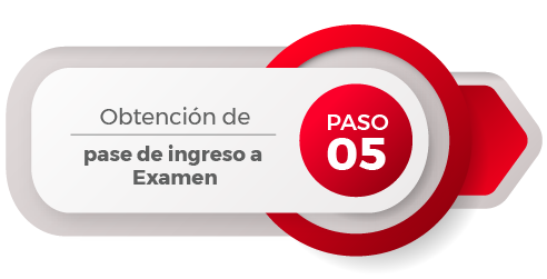 Paso5