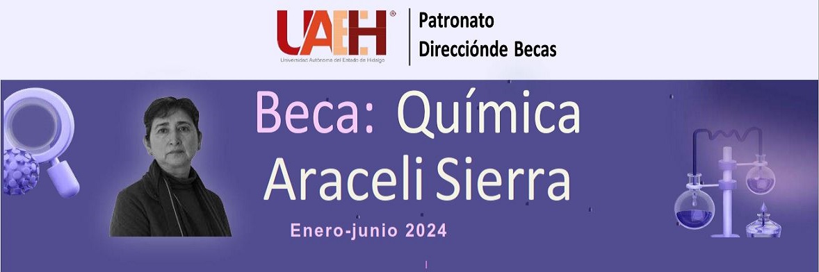 Química Araceli Sierra Enero-Junio 2024
