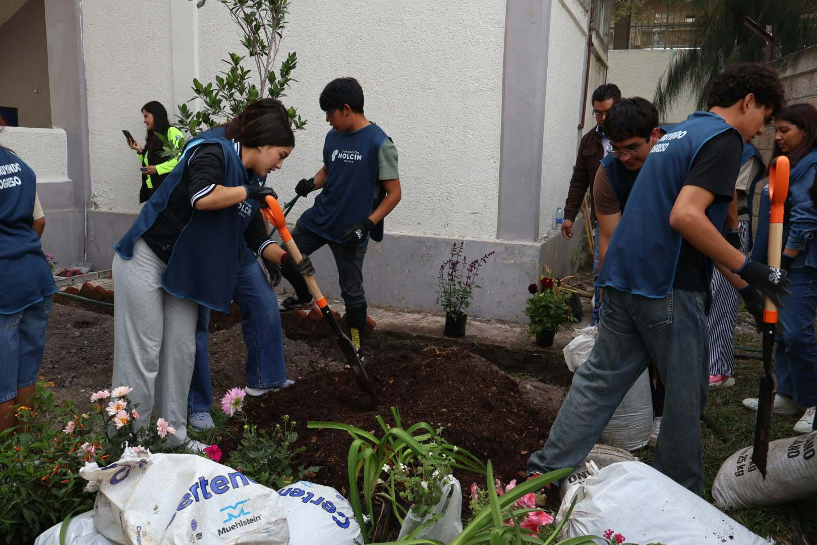 Imagen 9