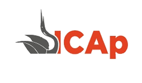 logo ICAP