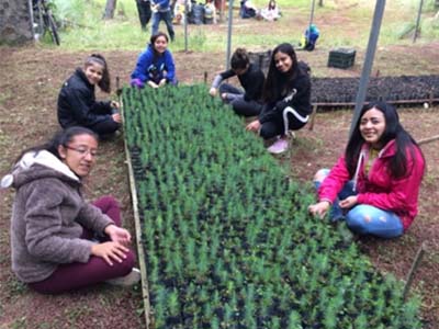 Actividades de educación ambiental