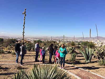 Actividades de educación ambiental 3