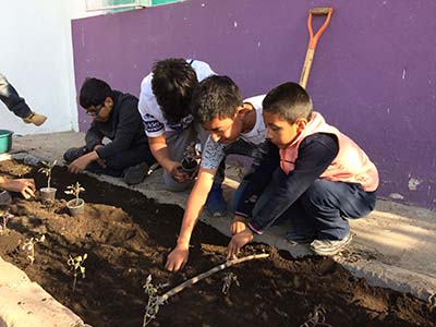 Actividades de educación ambiental 4