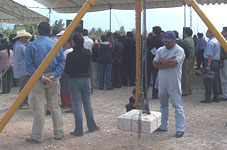 actividades