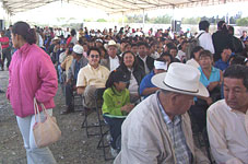 actividades