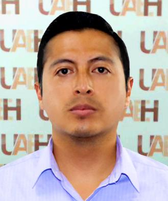 Ing. Mariano Augusto Castillo Maldonado