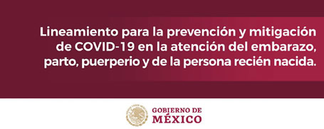Lineramientos