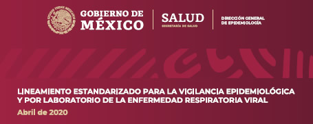 Lineramientos