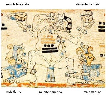 muerta que da la vida 1