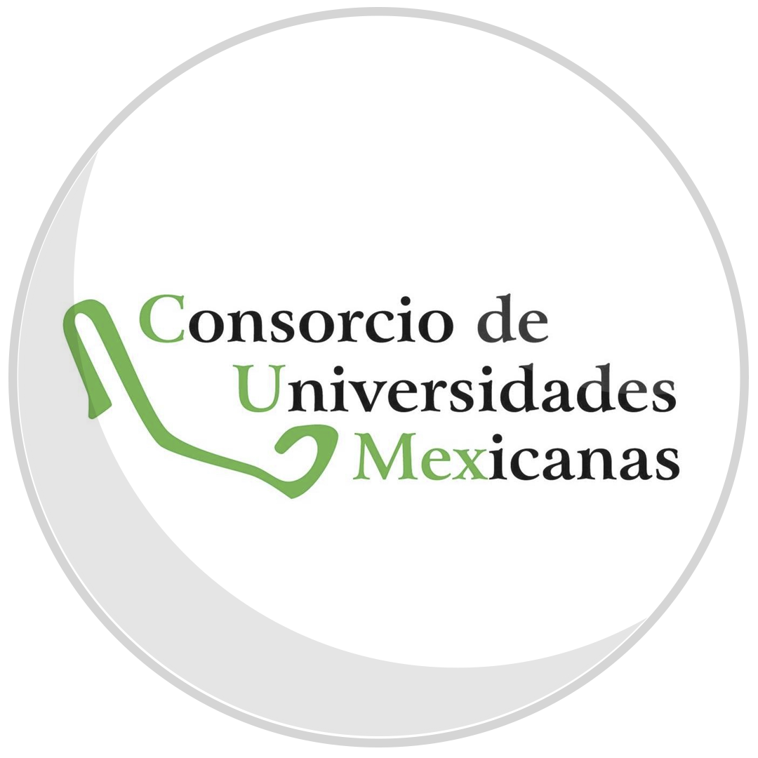 consorcios y asociaciones