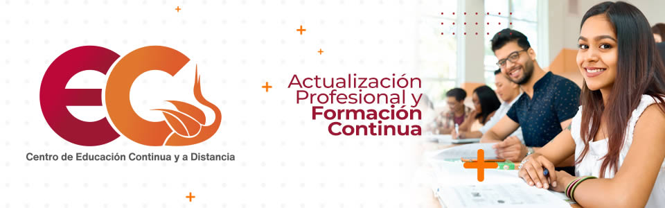 banner CECyD