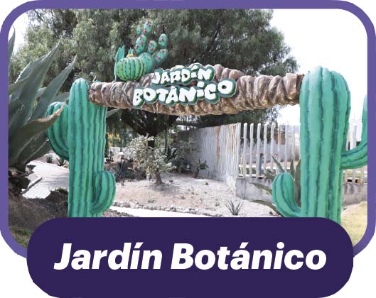 jardin botanico