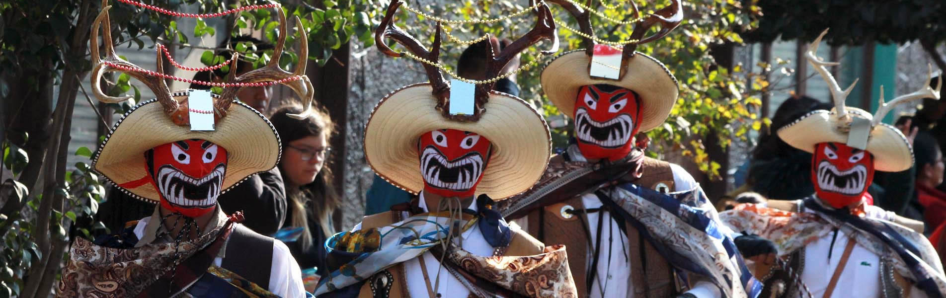 Gaceta ::Foto reportaje Carnavales de Hidalgo
