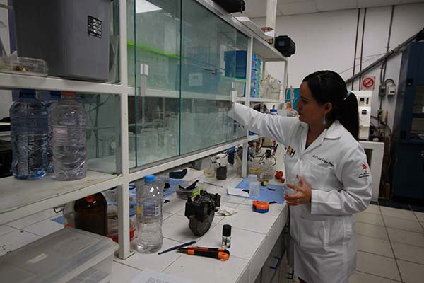 La UAEH avanza firme hacia la internacionalización 5
