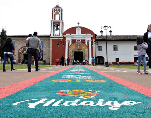 Festival del Hongo y la Manzana