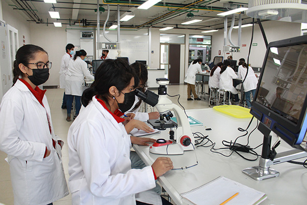 Descubrimientos de laboratorio que transforman el mundo real 4