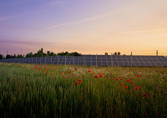 ¿Cómo depender menos del petróleo? 2