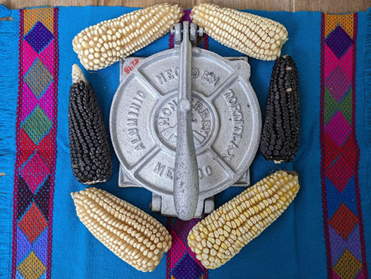 El arcoíris del maíz: más allá del alimento, su riqueza y sus beneficios en la salud 5