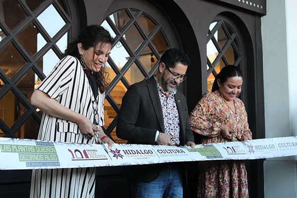 Ecoestética: cuando el arte florece del concreto 3