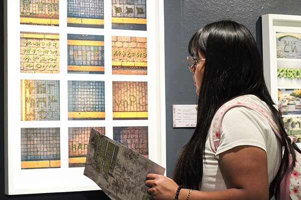 Ecoestética: cuando el arte florece del concreto G5