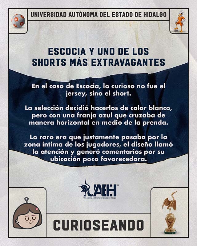 Curioseando 6