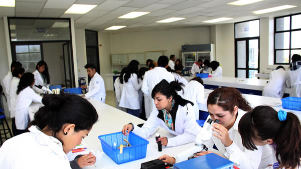 Becas