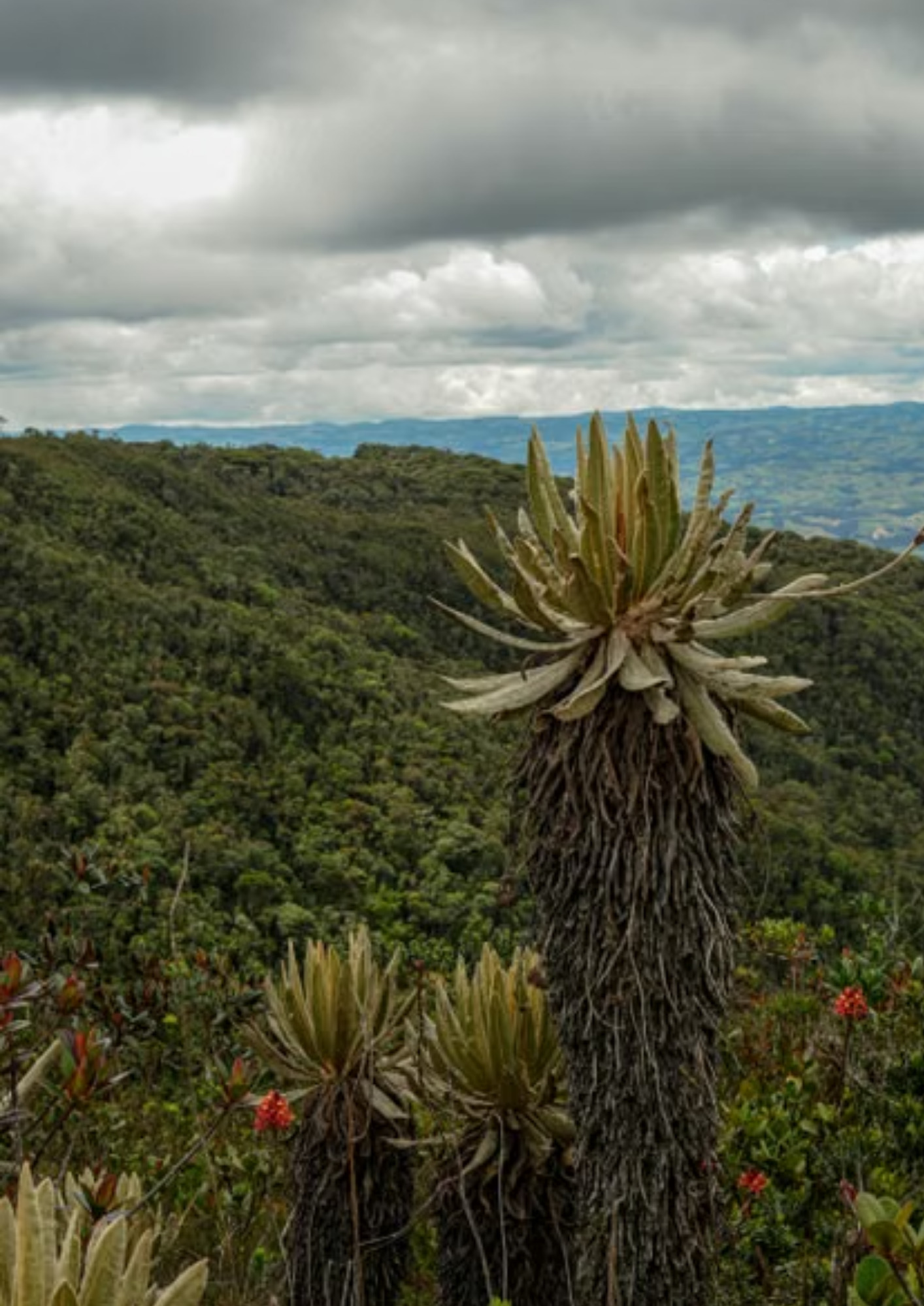 Medio ambiente y territorio