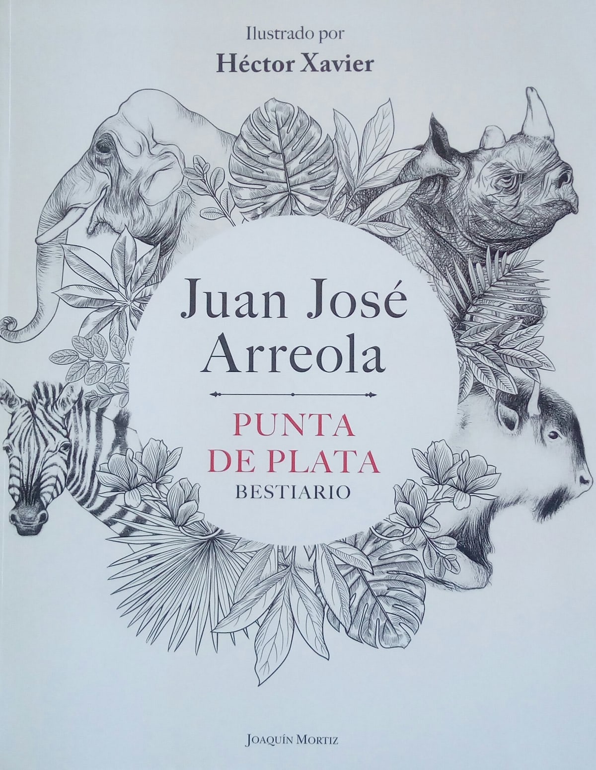 Punta de plata