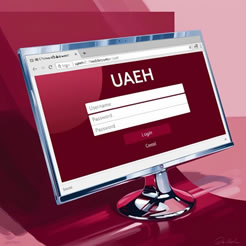 Sistemas web