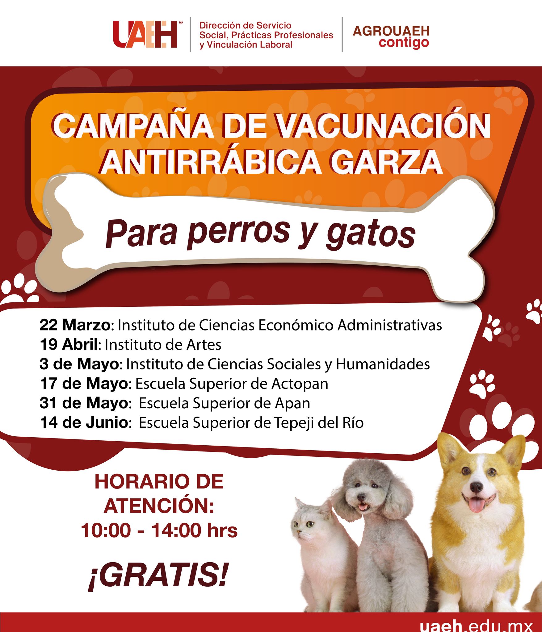 Boletín Implementa programa “AgroUAEH Contigo” campaña de vacunación