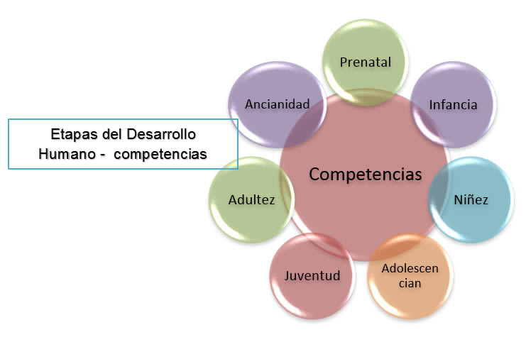 Nivel de Competencias gerenciales en los alumnos de la Escuela Superior de  Huejutla de la UAEH