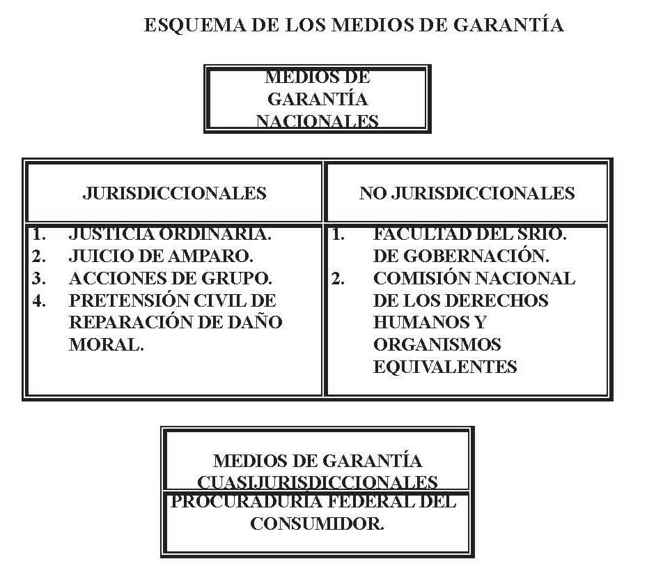 Lecciones Sobre Derechos Fundamentales