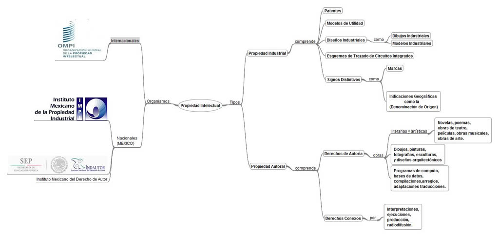 Mapa Conceptual Sobre La Declaracion Universal De Los
