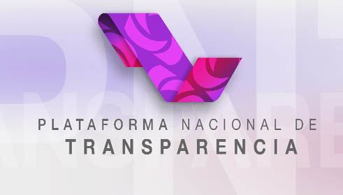 nueva plataforma